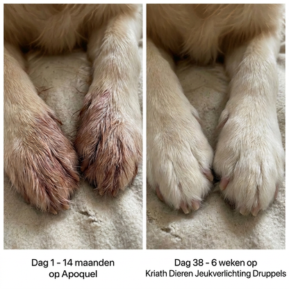 Kriath Pet Itch Relief Drops