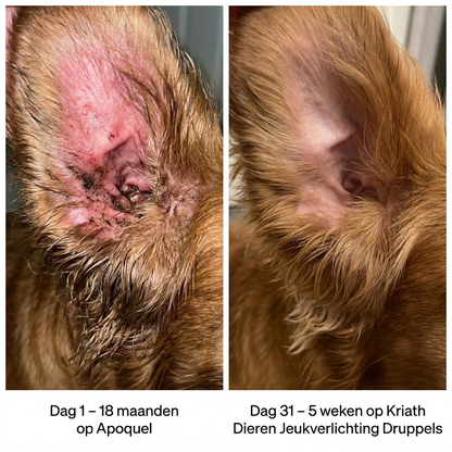 Kriath Pet Itch Relief Drops